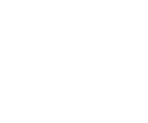 WISTA USA logo